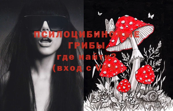 ECSTASY Баксан