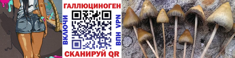 Галлюциногенные грибы мицелий где можно купить наркотик Невель